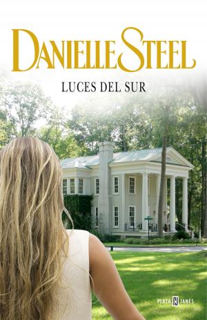 Cover of the book Luces del sur by Nuria Rivera