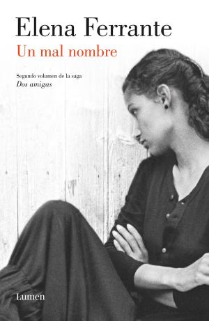 Cover of the book Un mal nombre (Dos amigas 2) by Isabel Allende