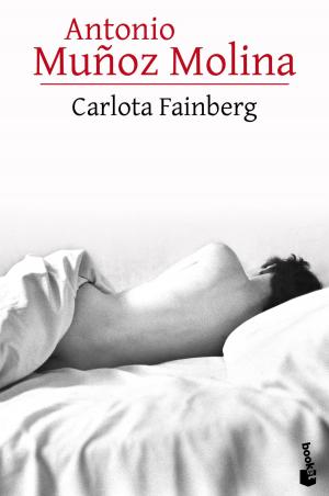 Cover of the book Carlota Fainberg by Nicolas Barreau