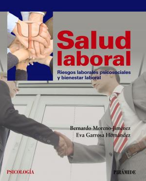 Cover of the book Salud laboral by Alicia Rodríguez Torres, Lorena García Esteban