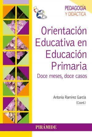 Cover of the book Orientación Educativa en Educación Primaria by Julio Gallego Codes