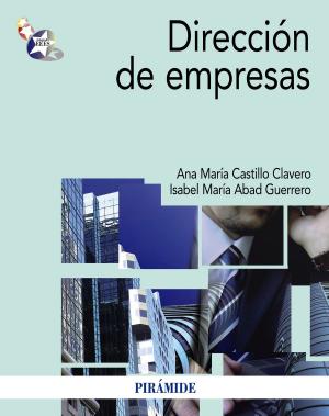 Cover of the book Dirección de empresas by Tomás Fernández García, Laura Ponce de León Romero