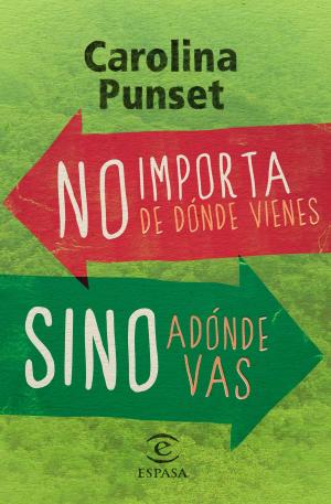 Cover of the book No importa de dónde vienes, sino adónde vas by Mariló Montero, Sergio Fernández