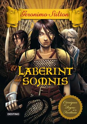 Cover of the book El laberint dels somnis by Martí Gironell