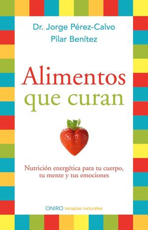Cover of the book Alimentos que curan by Idoia Bilbao