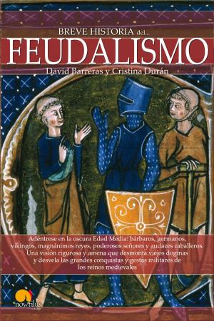 Cover of the book Breve historia del feudalismo by David González Ruiz