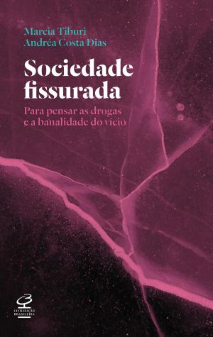 Cover of the book Sociedade fissurada by Mallory Neeve Wilkins