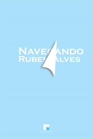 Cover of the book Navegando by Marli André