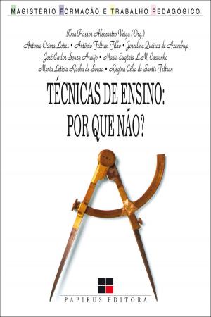 Cover of the book Técnicas de ensino by Ligia Moreiras Sena, Andreia Mortensen