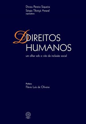 Book cover of Direitos Humanos