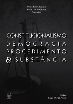 Book cover of Constitucionalismo, democracia, procedimento e substância