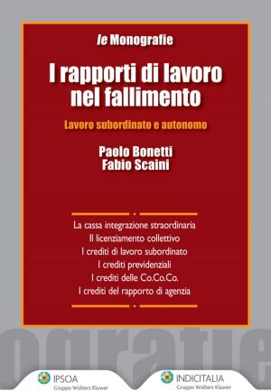 Cover of the book I rapporti di lavoro nel fallimento by Maurizio De Paolis