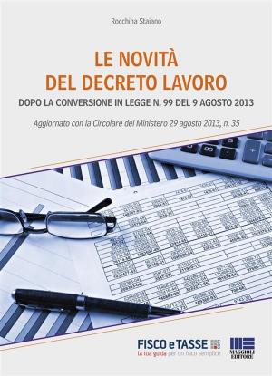 Cover of the book Le novità del Decreto Lavoro by Cristina Rigato