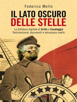 Cover of the book Il lato oscuro delle stelle by Sarah Maestri