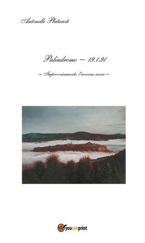 Cover of the book Palindromo - 19.1.91 by Raffaele Ganzerli