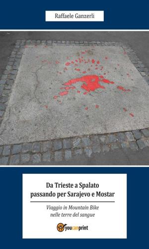 Cover of the book Da Trieste a Spalato passando per Sarajevo e Mostar by Sergio Andreoli