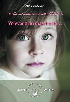 Cover of the book Volevano un maschietto by Anne Givaudan