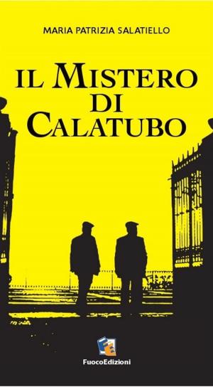 Cover of the book Il mistero di Calatubo by Barthélémy Courmont