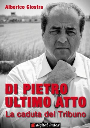 Cover of the book Di Pietro ultimo atto by Maria Cristina Stradi, Filippo Partesotti