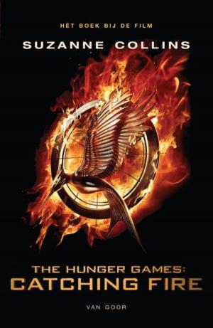 Cover of the book Catching fire by Vivian den Hollander