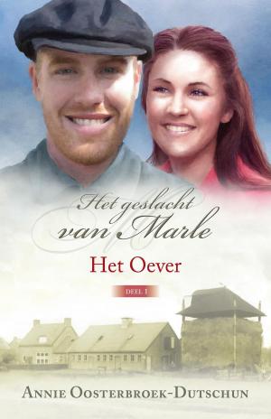 Cover of the book Het Oever by Carien Karsten
