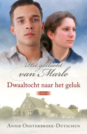 Cover of the book Dwaaltocht naar het geluk by J.W. van Saane, Nicolette Hijweege