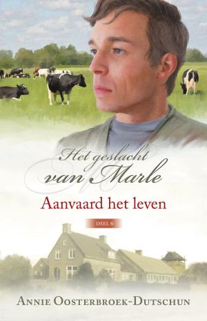 Cover of the book Aanvaard het leven by Henny Thijssing-Boer