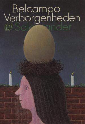 Cover of the book Verborgenheden by Annelies Verbeke
