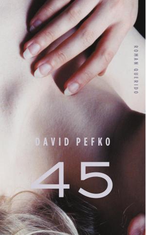 Cover of the book 45 by Johanna Spaey