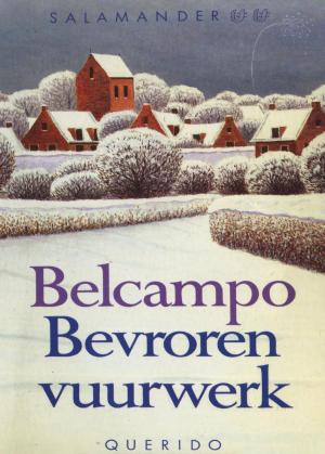 Cover of the book Bevroren vuurwerk by Bart Moeyaert