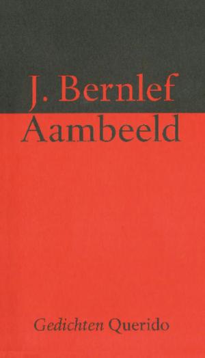 Cover of the book Aambeeld by Diederik Burgersdijk