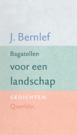 Cover of the book Bagatellen voor een landschap by Pieter Waterdrinker