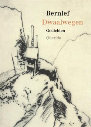 Cover of the book Dwaalwegen by Geert Mak