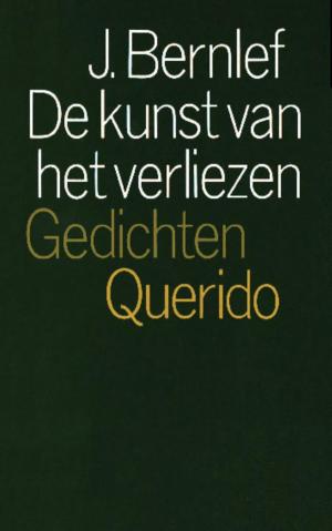 Cover of the book De kunst van het verliezen by Ronald Giphart
