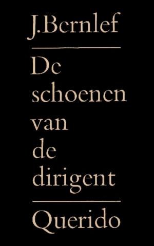 Cover of the book De schoenen van de dirigent by Onno Wesseling
