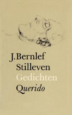 Cover of the book Stilleven by Edward van de Vendel