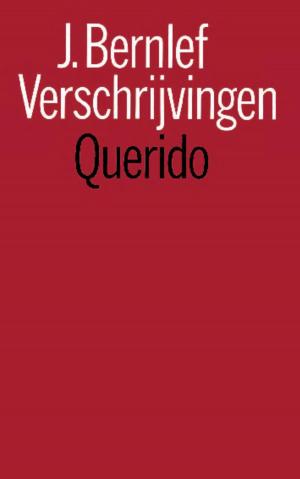 Cover of the book Verschrijvingen by Alberto Bertoni