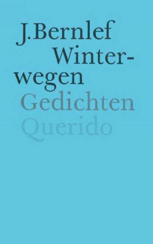 Cover of the book Winterwegen by Naomi Klein