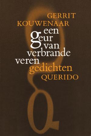 Cover of the book Een geur van verbrande veren by Arnaldur Indridason