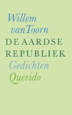 Cover of the book De aardse republiek by Toon Tellegen