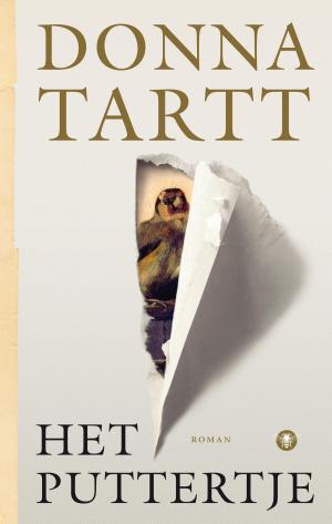 Book cover of Het puttertje