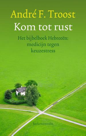 Cover of the book Kom tot rust by Aart Mak, Anne van der Meiden