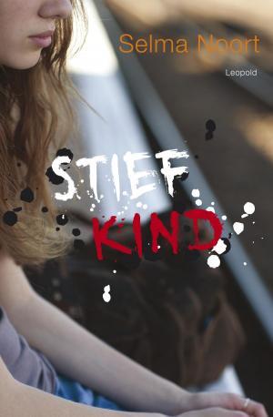 Cover of the book Stiefkind by Arend van Dam