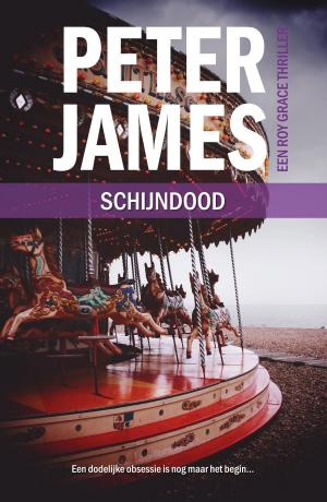 bigCover of the book Schijndood by 