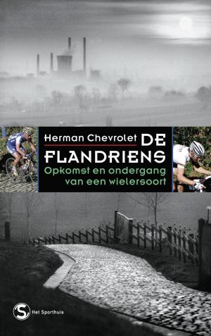 Cover of the book De Flandriens by J. Bernlef