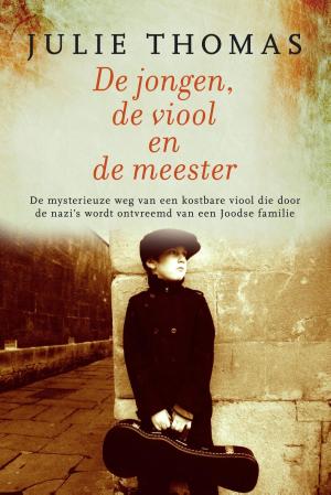 Cover of the book De jongen, de viool en de meester by Karin Peters