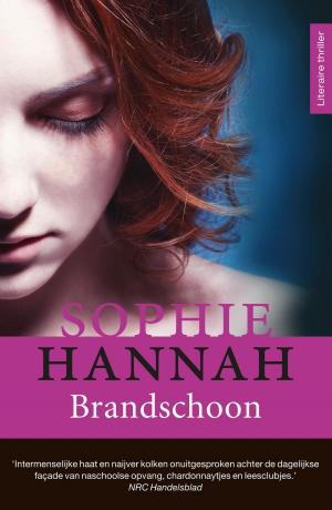 Cover of the book Brandschoon by Jan van Deenen, Petra den Dulk