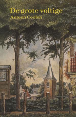 Cover of the book De grote voltige by Robert Anker