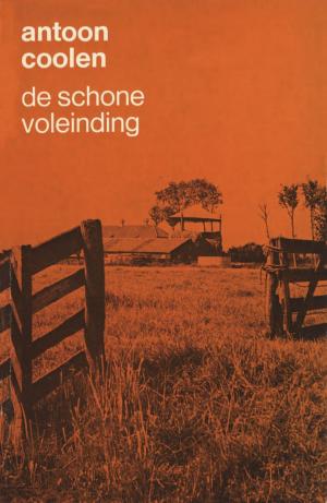 Cover of the book De schoone voleinding by Sophie Zijlstra