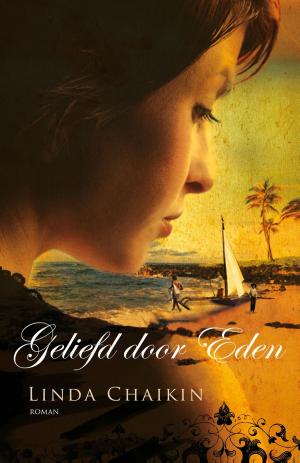 Cover of the book Geliefd door Eden by Lincoln Peirce